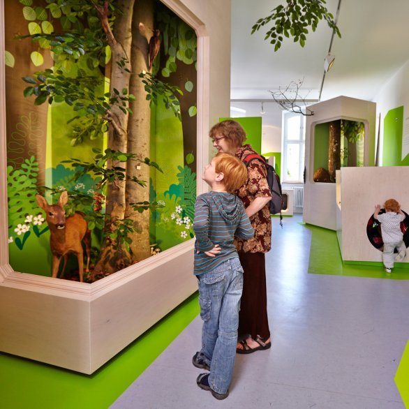 🏛️ 자연과 인간 박물관 (무제움 나투어 운트 멘쉬)